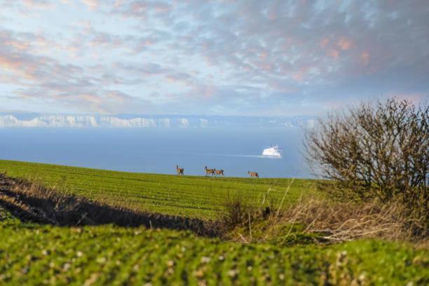 La Bull'Opale - Appartement D'Exception Avec Balneo Boulogne-sur-Mer Kültér fotó